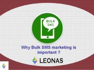 Why Bulk SMS marketing is important