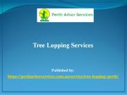 Tree Lopping Services