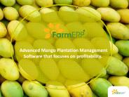 Advanced Mango Plantation Management Software that focuses on profitability.