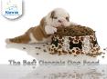 The Best Organic Dog Food PowerPoint PPT Presentation