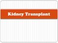 Kidney transplant in India PowerPoint PPT Presentation