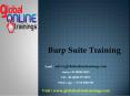 Burp Suite Training | Best Burp Suite Online Training by GOT PowerPoint PPT Presentation