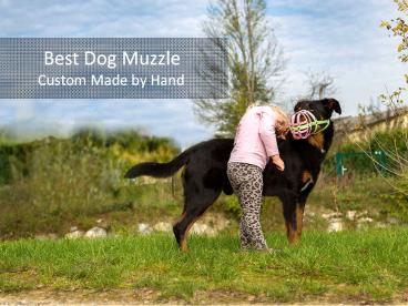Best Dog Muzzle (2)
