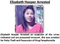 Elizabeth Hooper Arrested PowerPoint PPT Presentation