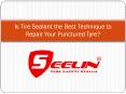 Is Tire Sealant the Best Technique to Repair Your Punctured Tyre? PowerPoint PPT Presentation
