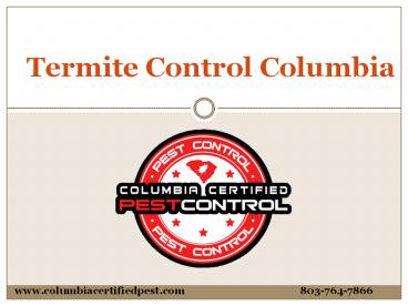 Termite Control Service in Columbia South Carolina
