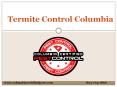 Termite Control Service in Columbia South Carolina PowerPoint PPT Presentation