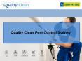 Quality Clean Pest Control Sydney PowerPoint PPT Presentation