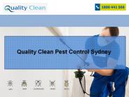 Quality Clean Pest Control Sydney