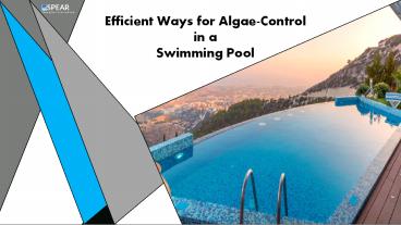 Efficient Ways for Algae Control in a Swimming Pool