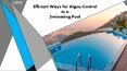 Efficient Ways for Algae Control in a Swimming Pool PowerPoint PPT Presentation