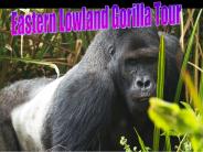 Eastern Lowland Gorilla Tour