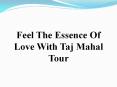 Taj Mahal Tour 20% off Special Discount
