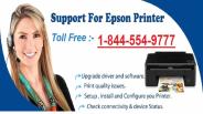 Epson Printer Support Number