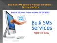 Best Bulk SMS Service Provider in Patiala - THE SMS WORLD PowerPoint PPT Presentation