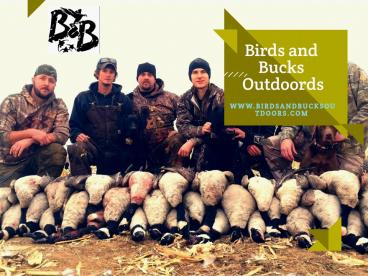 Guided Duck Hunt Colorado