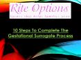 10 Steps To Complete The Gestational Surrogate Process PowerPoint PPT Presentation