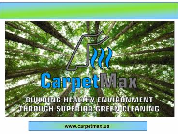 Local carpet cleaning service
