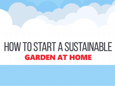 How to Start a Sustainable Garden at Home (1)