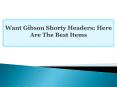 Want Gibson Shorty Headers: Here Are The Best Items PowerPoint PPT Presentation