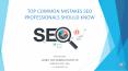 Top Common Mistakes Seo Professionals Should Know PowerPoint PPT Presentation