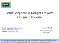 Send Gorgeous n Delight Flowers Online In kolkata PowerPoint PPT Presentation