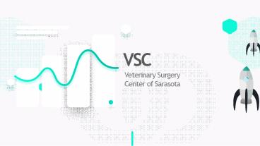 VSC  Veterinary Surgery Center of Sarasota