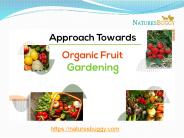 Approach towards Organic Fruit Gardening