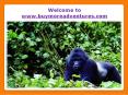 Uganda Wildlife Safari Tours