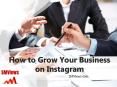 Grow your Instagram following and increase your engagement PowerPoint PPT Presentation
