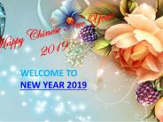 Happy Chinese New Year 2019