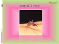 West Nile Fever: Causes, Symptoms, Daignosis, Prevention and Treatment PowerPoint PPT Presentation
