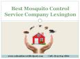 Best Mosquito Control Service Company Lexington PowerPoint PPT Presentation