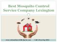 Best Mosquito Control Service Company Lexington (1) PowerPoint PPT Presentation
