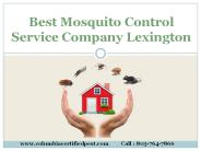 Best Mosquito Control Service Company Lexington (1)
