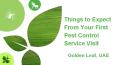 Pest Control Companies Dubai - Golden Leaf UAE PowerPoint PPT Presentation