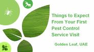 Pest Control Companies Dubai - Golden Leaf UAE