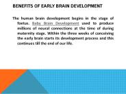 Baby Brain Development (1)
