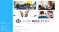 Hearing aid Style|Blue Bell Plus PowerPoint PPT Presentation