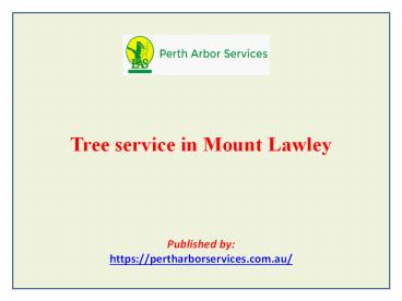 Tree service in Mount Lawley