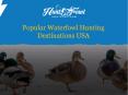 Popular Waterfowl Hunting Destinations USA