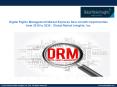 Digital Rights Management Market will witness a rapid growth to 2024 PowerPoint PPT Presentation