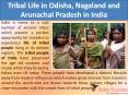 Tribal Life in Odisha, Nagaland and Arunachal Pradesh in India PowerPoint PPT Presentation