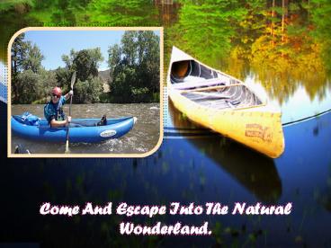 Kayak Hire Bundeena (1)