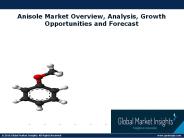 Anisole Industry Overview 2018-2024