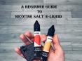 A beginner guide of nicotine salt e-liquid PowerPoint PPT Presentation