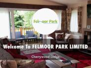 Information Presentation Of FELMOOR PARK LIMITED