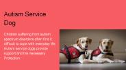 Autism Service Dogs