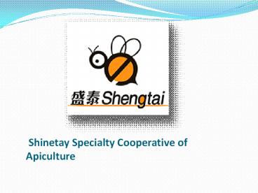 Shinetay Specialty Cooperative of Apiculture