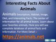 Interesting Facts about the Saiga Antelope, Doberman Pinscher, Warthog PowerPoint PPT Presentation